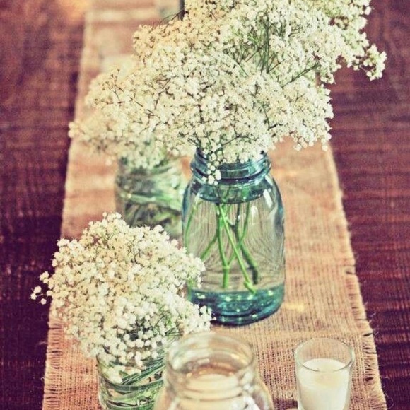 Meet your Posher, Anna - Picture 1 of 1